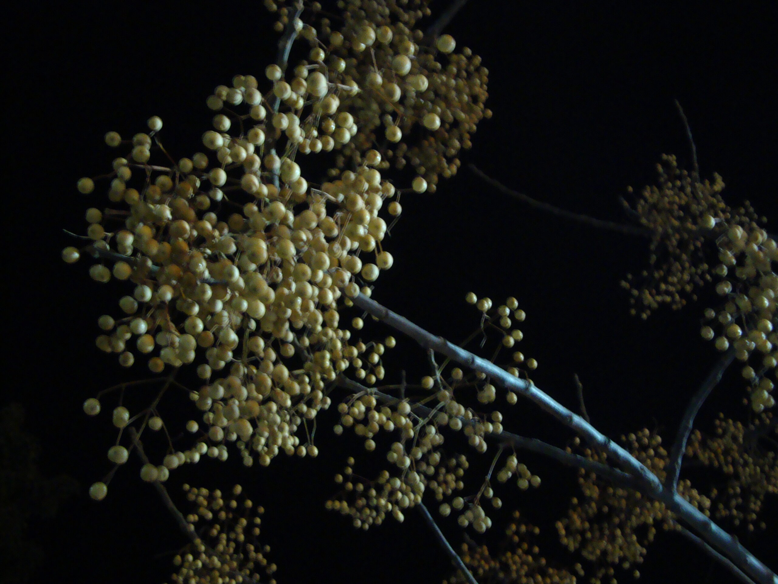 Instante nocturno Instante nocturno