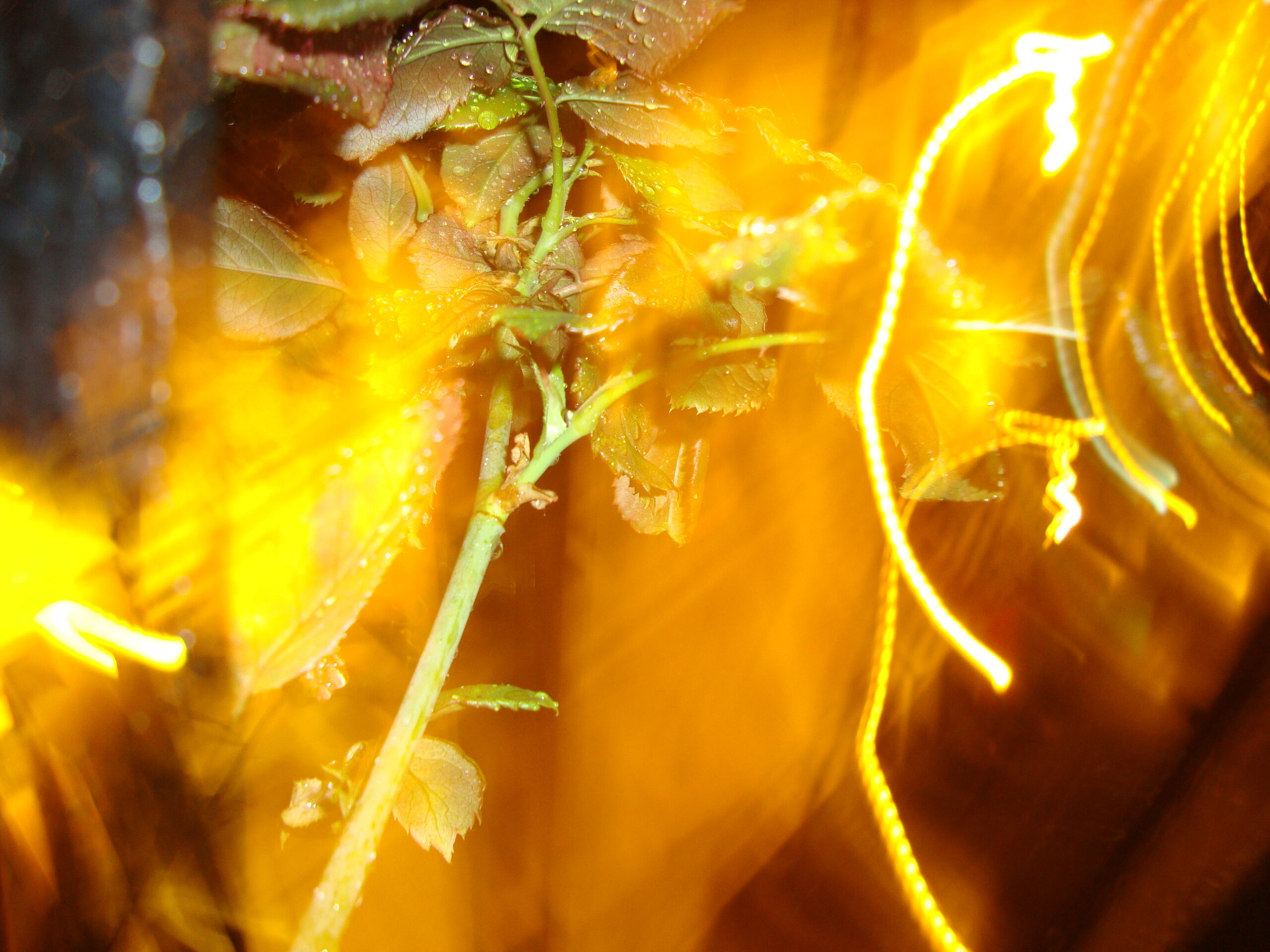 Jugando con la luz Jugando con la luz